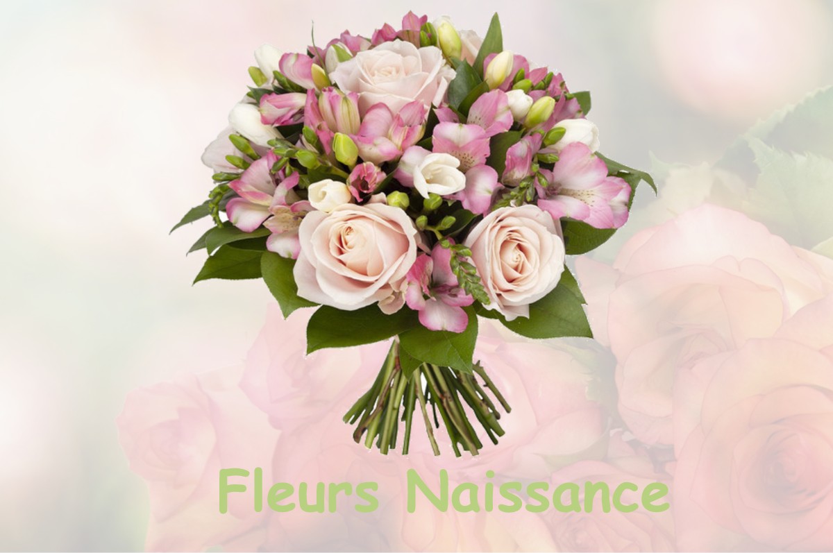 fleurs naissance FRANEY